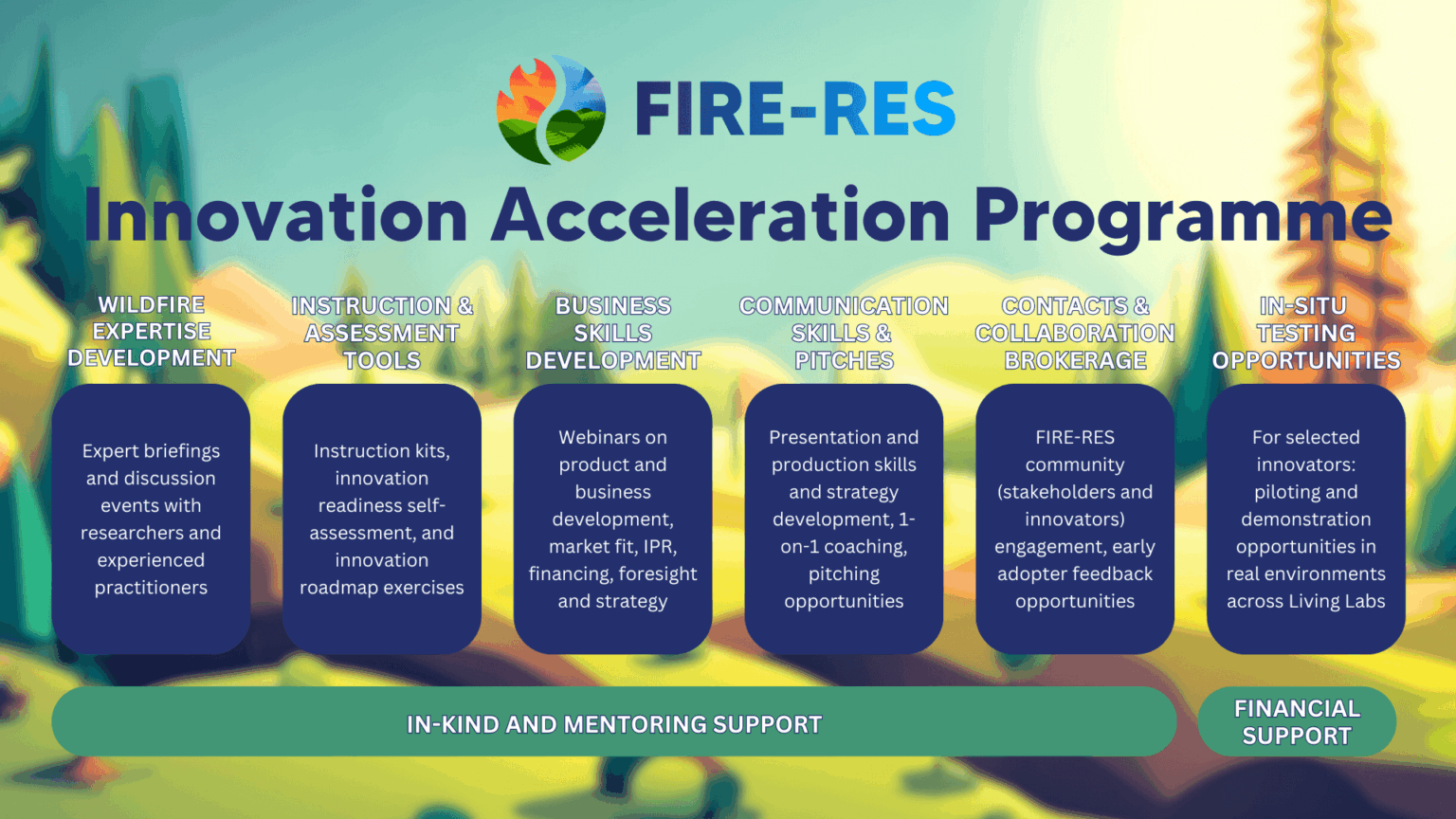 Innovation Acceleration Programme2
